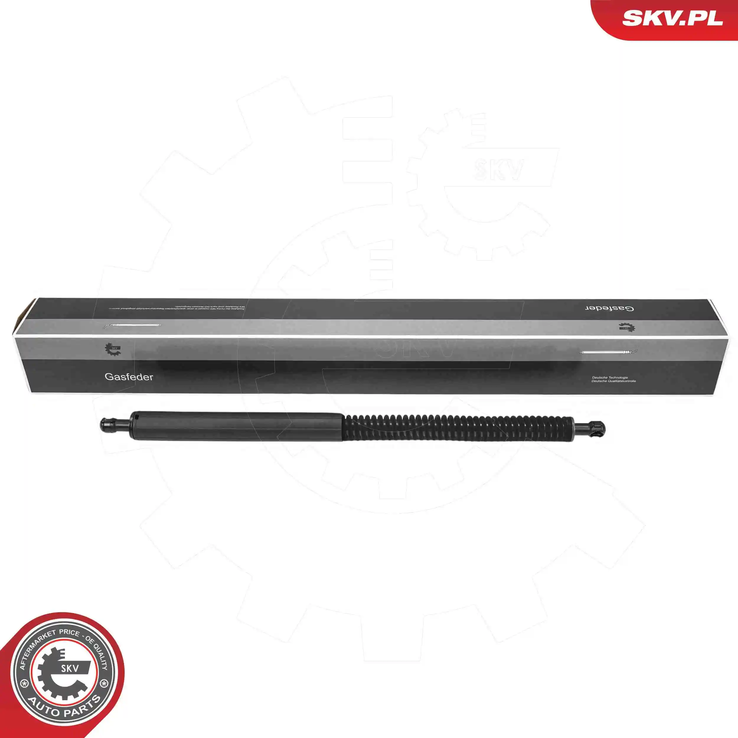 Gas Spring, boot/cargo area